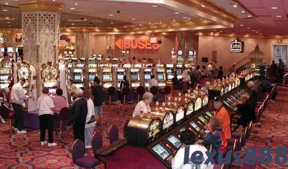 lexus888 Live Casino Tables Built for Indonesia
